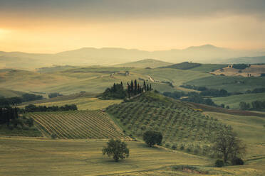 Sonnenaufgang auf den sanften grünen Hügeln des Val d'Orcia, UNESCO-Weltkulturerbe, Provinz Siena, Toskana, Italien, Europa - RHPLF08276