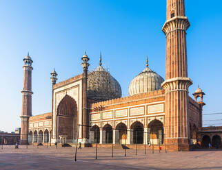 Early morning in Jama Masjid, Old Delhi, India, Asia - RHPLF08346