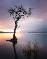 Loch Lomond at sunset, Scotland, United Kingdom, Europe - RHPLF08385