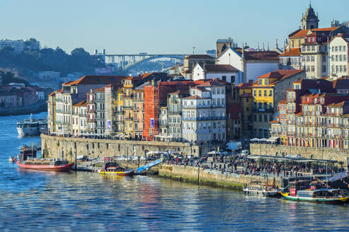 Douro-Fluss und Ribeira-Viertel, UNESCO-Welterbe, Porto, Portugal, Europa - RHPLF08458