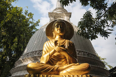 Buddha-Statue, Gangaramaya-Tempel, Colombo, Westprovinz, Sri Lanka, Asien - RHPLF08526