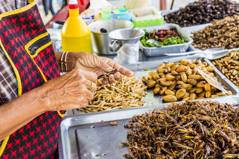 Ein Marktstandbesitzer bereitet ein Insektengrillfest im Wat Chalong Tempel in Phuket, Thailand, Südostasien, Asien - RHPLF08566