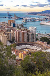 Malaga viewed from the view point of Gibralfaro by the castle, Malaga, Andalucia, Spain, Europe - RHPLF08572