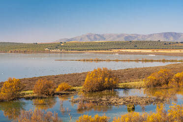 Laguna de Fuente Piedra Naturschutzgebiet und Wohnort für viele Vögel von April bis August, einschließlich Flamingos, Malaga, Andalusien, Spanien, Europa - RHPLF08578