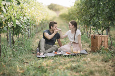 Junges verliebtes Paar beim Picknick in den Weinbergen - ALBF01010