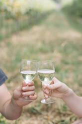 Junges Paar stößt mit Prosecco in den Weinbergen an, Nahaufnahme - ALBF01020