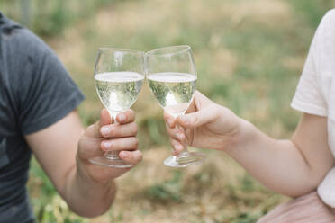 Junges Paar stößt mit Prosecco in den Weinbergen an, Nahaufnahme - ALBF01021