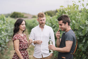 Sommelier smelling wine cork from freshly opened bottle in the vineyard - ALBF01028