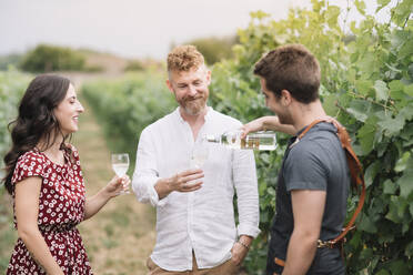 Sommelier mit Kunden im Weinberg - ALBF01029