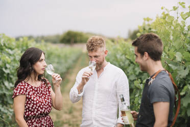 Sommelier erklärt Kunden den Wein im Weinberg - ALBF01030