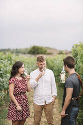 Sommelier erklärt Kunden den Wein im Weinberg - ALBF01031
