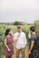 Sommelier explaining customers wine in the vineyard - ALBF01031