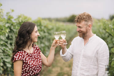 Ehepaar stößt mit Weißwein in den Weinbergen an - ALBF01032
