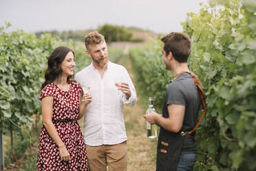 Sommelier erklärt Kunden den Wein im Weinberg - ALBF01034