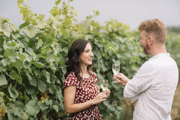 Couple drinking white wine in the vineyards - ALBF01035