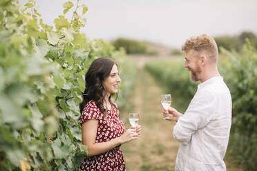 Ehepaar trinkt Weißwein in den Weinbergen - ALBF01036