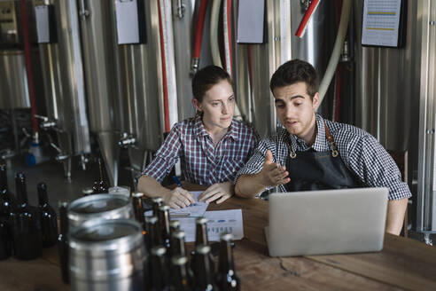 Young entrepreneurs working at a brewery - ALBF01055