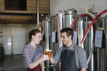 Glückliche Jungunternehmer in einer Brauerei stoßen mit Biergläsern an - ALBF01062