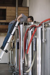 Junger Unternehmer bei der Arbeit am Tank in einer Brauerei - ALBF01084