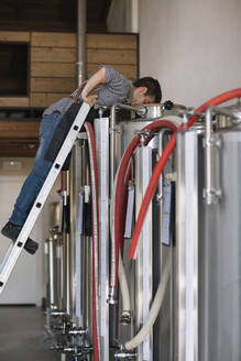 Young entrepreneur working at tank at a brewery - ALBF01084
