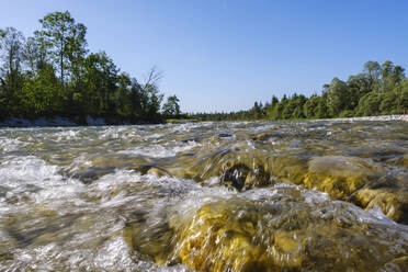 Blick auf die Isar bei klarem Himmel, Naturschutzgebiet Isarauen bei Geretsried, Bayern, Deutschland - SIEF08964