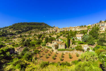 Gebäude und Bäume gegen klaren blauen Himmel an einem sonnigen Tag in Valldemossa, Mallorca, Spanien, Europa - THAF02593