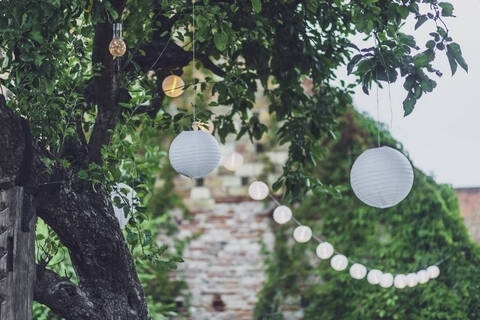 Niedriger Blickwinkel auf Weihnachtslichter, die an Bäumen im Hof hängen, bei einer Party, lizenzfreies Stockfoto