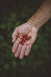 Person holding wild strawberries - JOHF00003