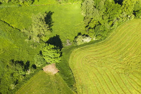 Luftaufnahme von Mahnwiese und Naturweg in Reichersbeuern, Oberbayern, Bayern, Deutschland, lizenzfreies Stockfoto