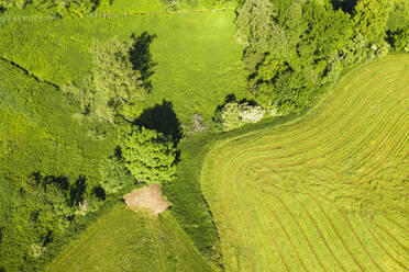 Luftaufnahme von Mahnwiese und Naturweg in Reichersbeuern, Oberbayern, Bayern, Deutschland - SIEF08975