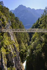 Panorama bridge against mountains, Leutasch Gorge, Tyrol, Austria - SIEF09007
