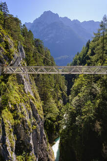 Panoramabrücke gegen Berge, Leutaschklamm, Tirol, Österreich - SIEF09007