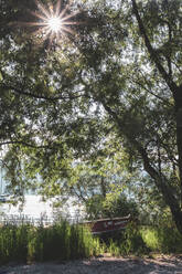 Boot auf dem Lago Maggiore zwischen Bäumen an einem sonnigen Tag, Ispra, Italien - MMAF01111