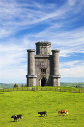 Paxtons Tower, Llanarthne, Carmarthenshire, Wales, Vereinigtes Königreich, Europa - RHPLF08595