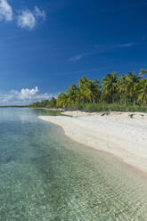 Schöner palmengesäumter weißer Sandstrand im türkisfarbenen Wasser von Tikehau, Tuamotus, Französisch-Polynesien, Pazifik - RHPLF08632