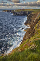 Die Klippen am Loop Head, in der Nähe von Kilkee, Grafschaft Clare, Munster, Republik Irland, Europa - RHPLF08649