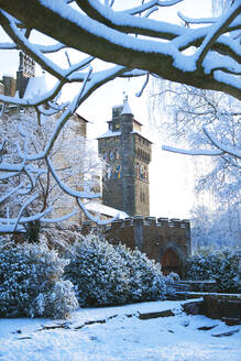 Cardiff Castle, Bute Park im Schnee, Cardiff, Wales, Vereinigtes Königreich, Europa - RHPLF08663