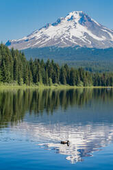 Mount Hood, Teil der Cascade Range, spiegelt sich perfekt im stillen Wasser des Trillium Lake, Oregon, Vereinigte Staaten von Amerika, Nordamerika - RHPLF08674