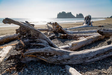 James Island und Treibholz am Strand von La Push im Pazifischen Nordwesten, Staat Washington, Vereinigte Staaten von Amerika, Nordamerika - RHPLF08684