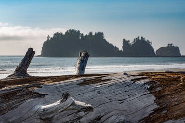 James Island mit Treibholz am Strand von La Push an der pazifischen Nordwestküste, Staat Washington, Vereinigte Staaten von Amerika, Nordamerika - RHPLF08685