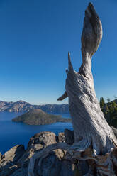 Einsamer Baumstamm über dem Crater Lake, dem tiefsten See der USA, Teil der Cascade Range, Oregon, Vereinigte Staaten von Amerika, Nordamerika - RHPLF08687