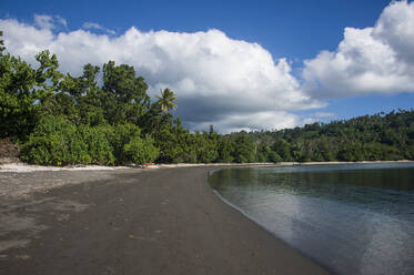 Hübscher schwarzer Vulkansandstrand, Epi Island, Shepherd Islands, Vanuatu, Pazifik - RHPLF08744