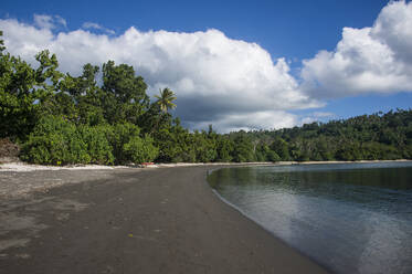 Pretty black sand volcanic beach, Epi Island, Shepherd Islands, Vanuatu, Pacific - RHPLF08744