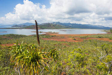 Blick auf den Blue River Provincial Park, Yate, Neukaledonien, Pazifik - RHPLF08747