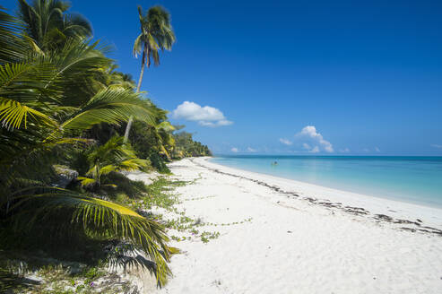 Turquoise waters and white sand beach, Ouvea, Loyalty Islands, New Caledonia, Pacific - RHPLF08749