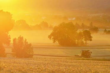 Landschaft mit Erntemaschinen auf einem Feld, Deutschland - FOLF10400