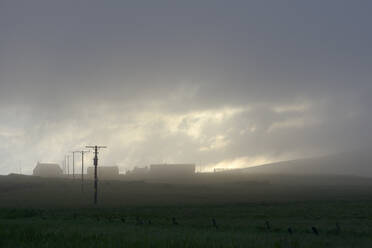 Grünes Feld und Silhouetten von Häusern im Nebel auf den Shetlandinseln - FOLF10406