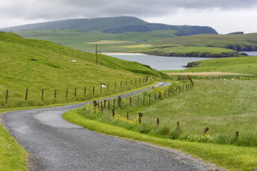 Spiggie auf den Shetlandinseln, Vereinigtes Königreich - FOLF10411