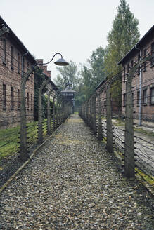 Weg zwischen Zäunen im Konzentrationslager Auschwitz - FOLF10446
