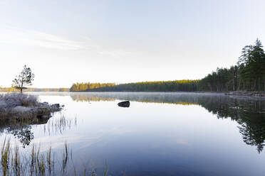 Wald am See - FOLF10474